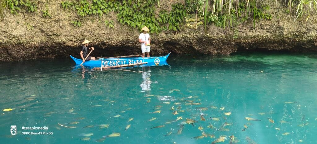 Fish Feeding